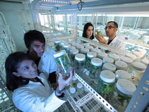 赋能企业腾飞的免费轰炸机